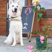 水木の集い　健康情報