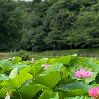 【島根県出雲市】不登校・行き渋り関連情報