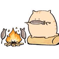 にわねこ教