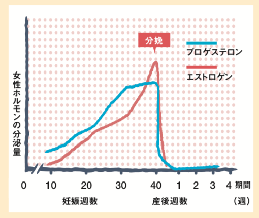 産後の薄毛対策 ストレスをためずに栄養と睡眠を シャンプーついでのインバス時短マッサージ