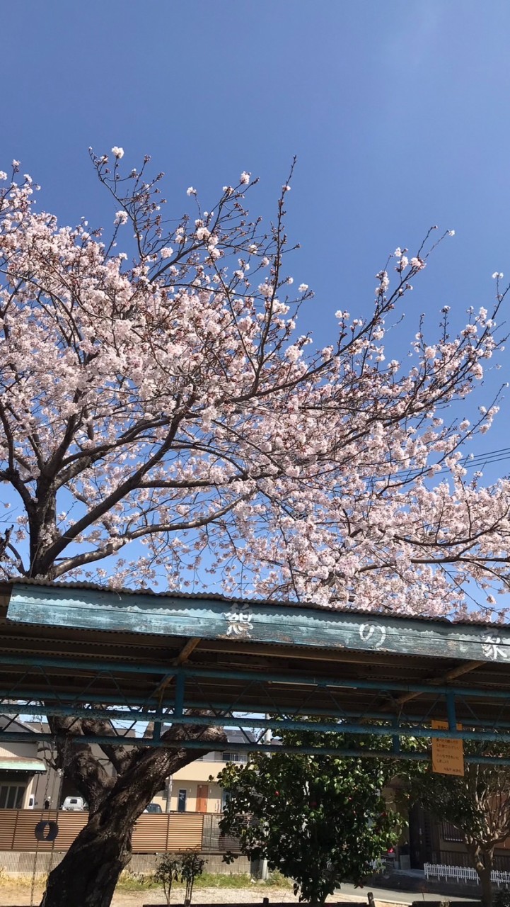西坂町自治会