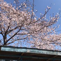 西坂町自治会