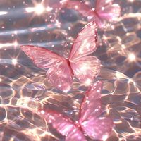20.30.40代𓂃🎀𓈒𓏸癒しの大人の雑談、恋バナroom
