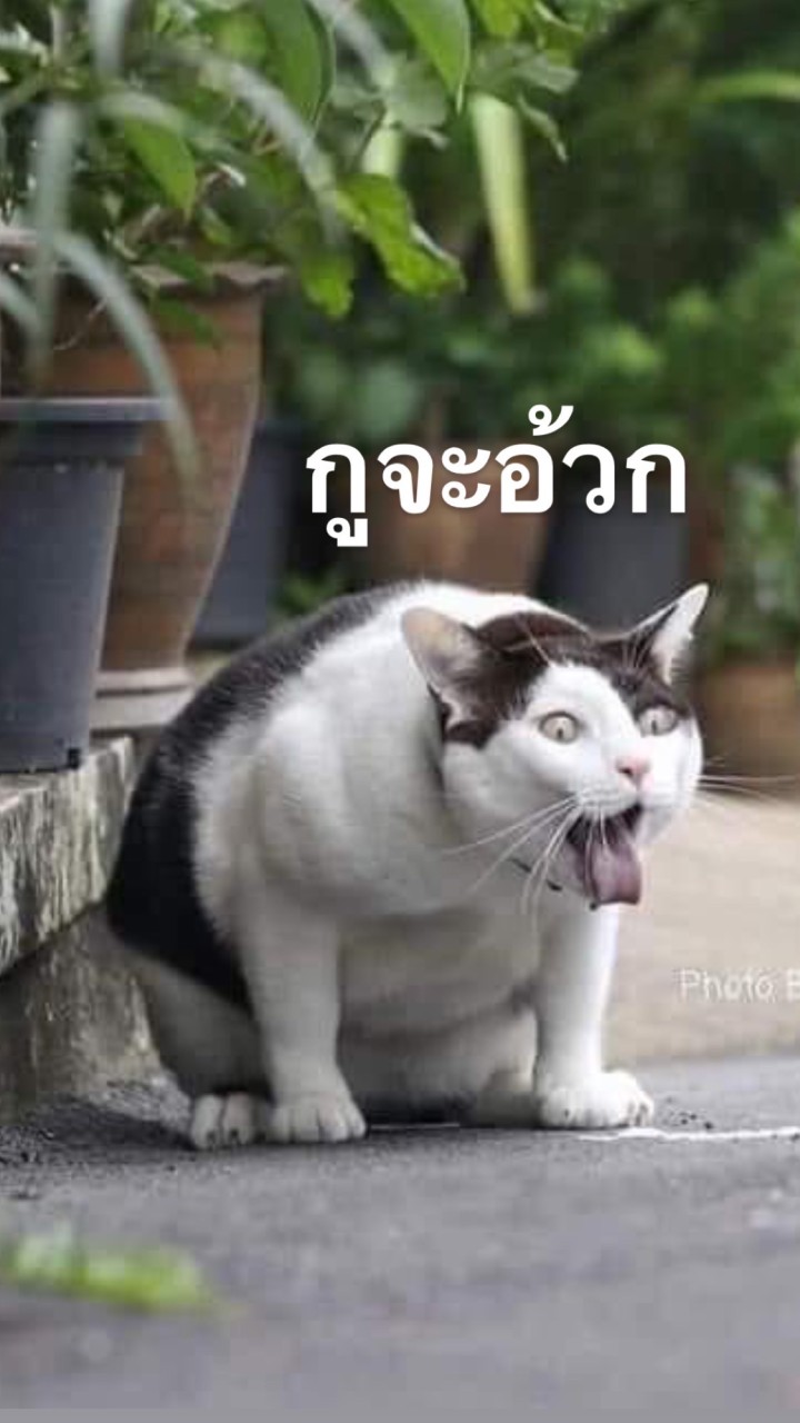 OpenChat แชร์ต่อๆกันไปนะคะ