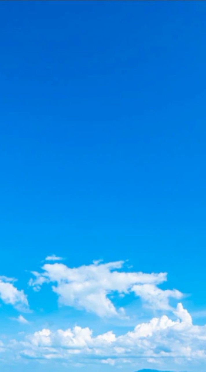 115年全中運開幕