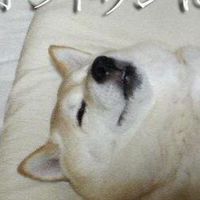 初心者・未経験者向けプログラミング学習コミュニティ！明日やろう