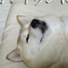 初心者・未経験者向けプログラミング学習コミュニティ！明日やろう