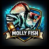 Molly茉莉球魚公開自由競標區
