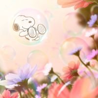 ⭐️メンバー募集⭐️🐾.*･ﾟ雑談･*.🐾30代ꕀ⋆50代🫧🦋‪楽しく話そ((o(｡>ω<｡)🦋‪🫧