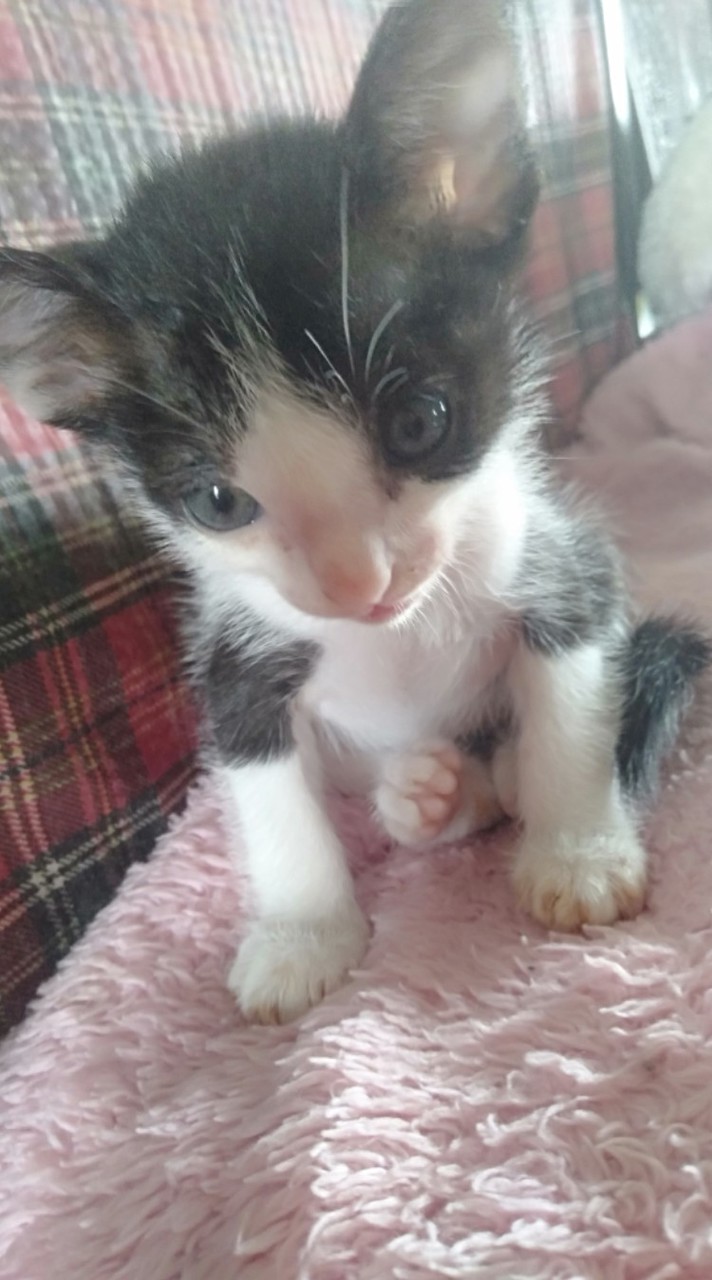 หาเพื่อนเล่น ค่ะ พี่โมหัวหน้ากลุ่ม