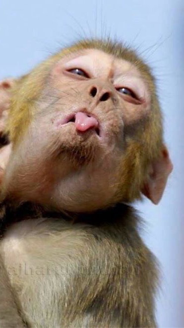 kangkeng ling🐒🩲