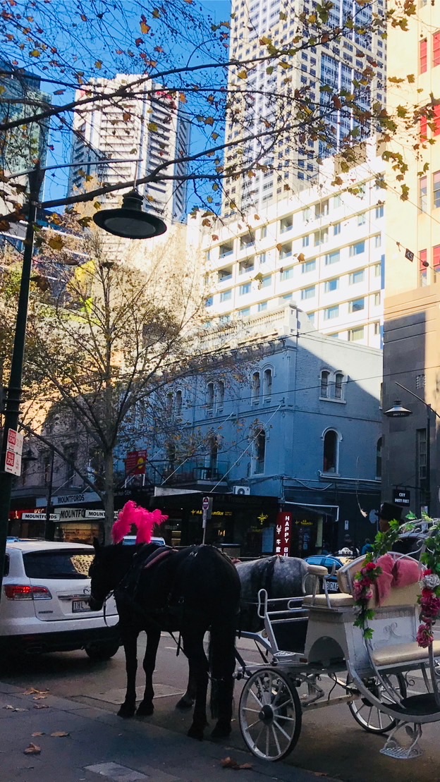 出國去🛺最優惠旅遊行程🛫國內外房地產