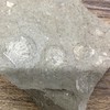 石好き