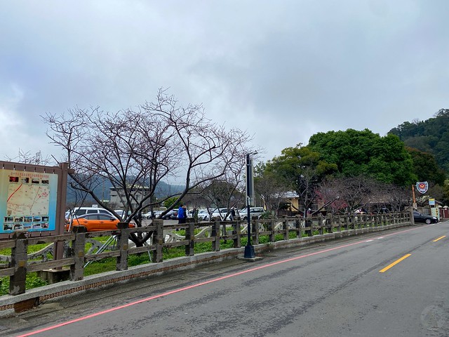 后里崴立機電櫻花公園