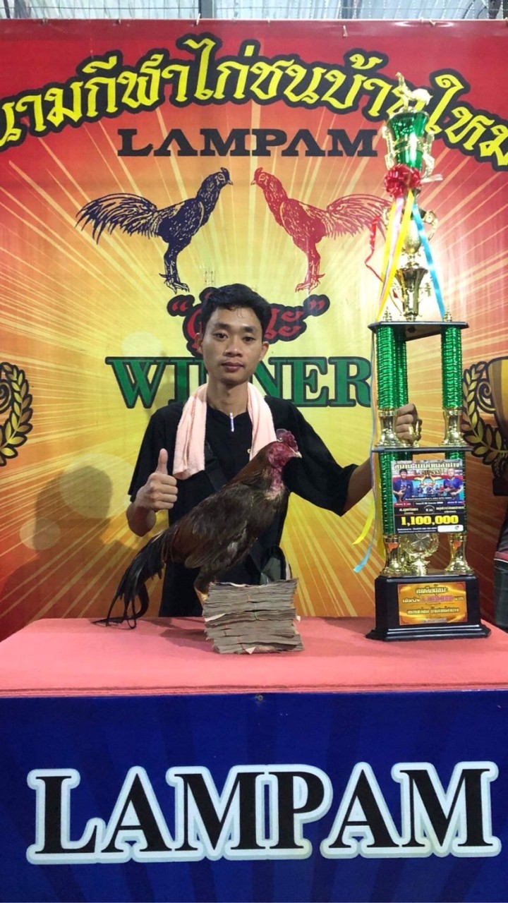 แข้งหน้ามหาชน