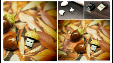 加密狗變身龍貓食物，一雙巧手就可以完成