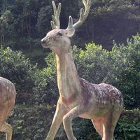 阿梁師的實用日語社群