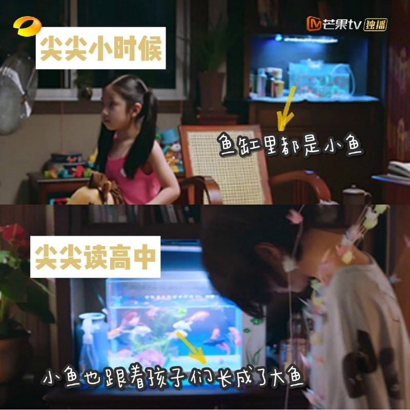 《以家人之名》劇情隱藏的細節