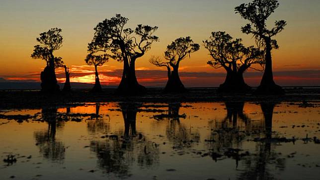 5 Wisata Di Sumba Yang Jadi Lokasi Syuting Film Susah Sinyal