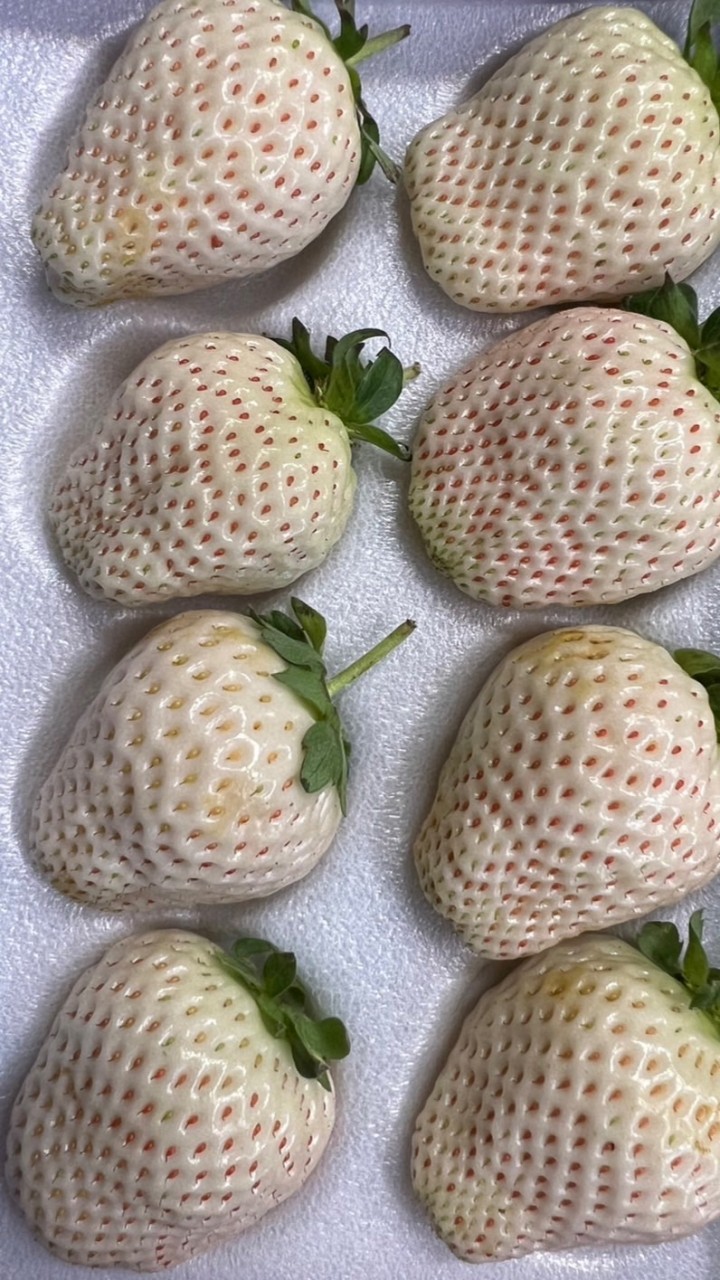 友田鮮果舖🍉