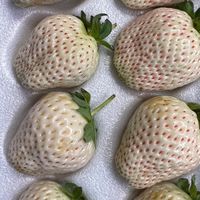 友田鮮果舖🍉