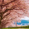 114高一孝親師溝通桃花源