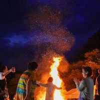 みたねフェス　Mitane fes