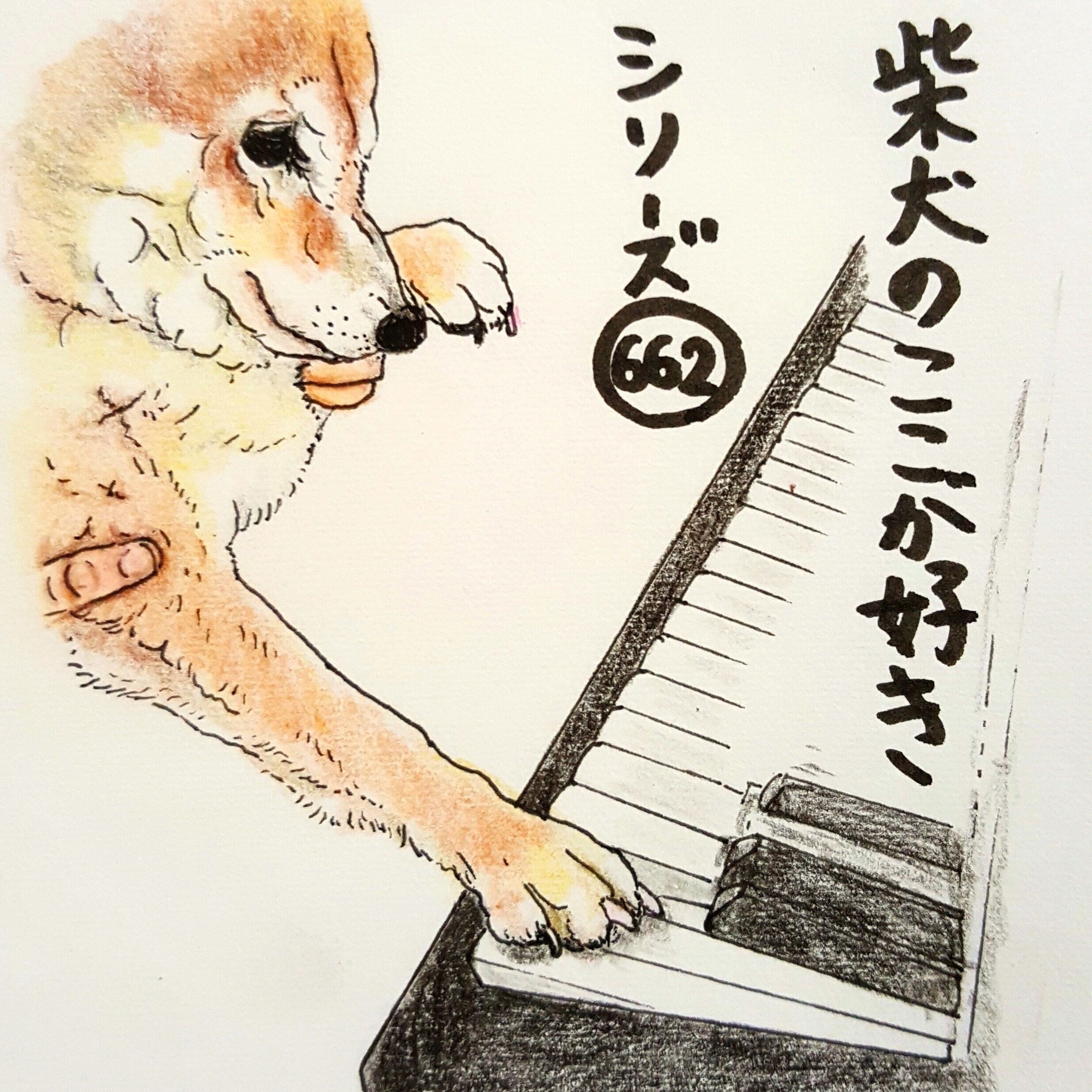 熱中症対策に必須 犬の健康を守る夏場のエアコンの使い方