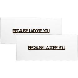 Dior 迪奧 寵愛書籤*2