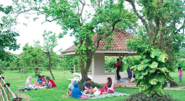 Taman Buah Mekarsari Tempat Favorit Liburan Keluarga Di Bogor