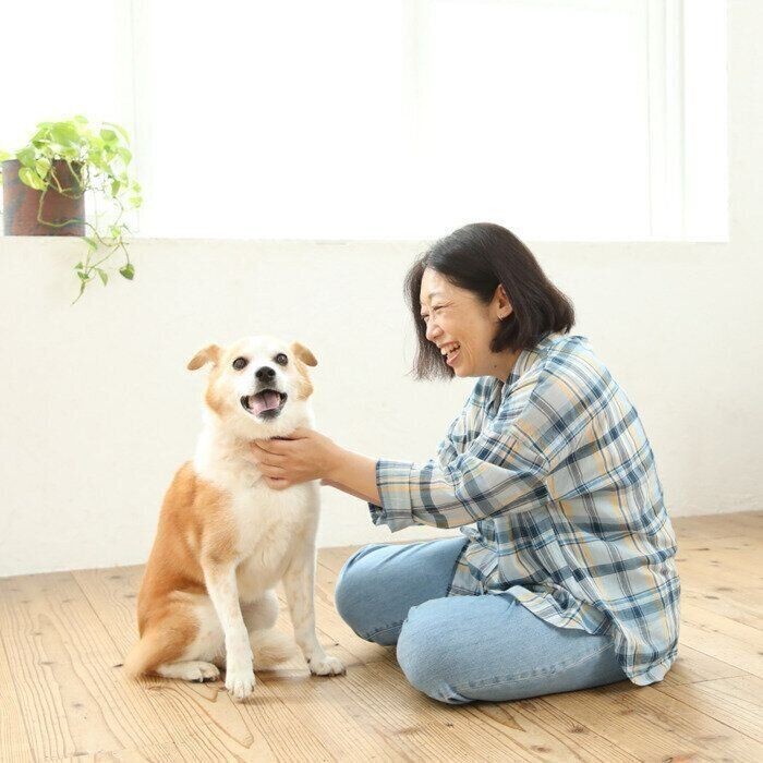 しつけのプロがしている犬の 吠え 軽減の簡単テク2つ