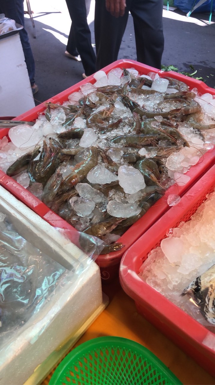蝦🦐蝦🦐魚魚🐟🐟