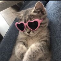 ☀️