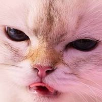 一生ずっと帰んないで ✧ 全緩ハント