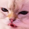一生ずっと帰んないで ✧ 全緩ハント