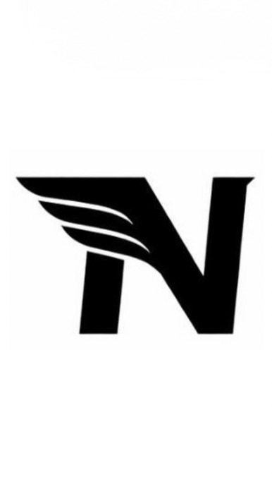 【新公式】NFS(Nippon Flight Service)