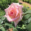 霊感信じる会