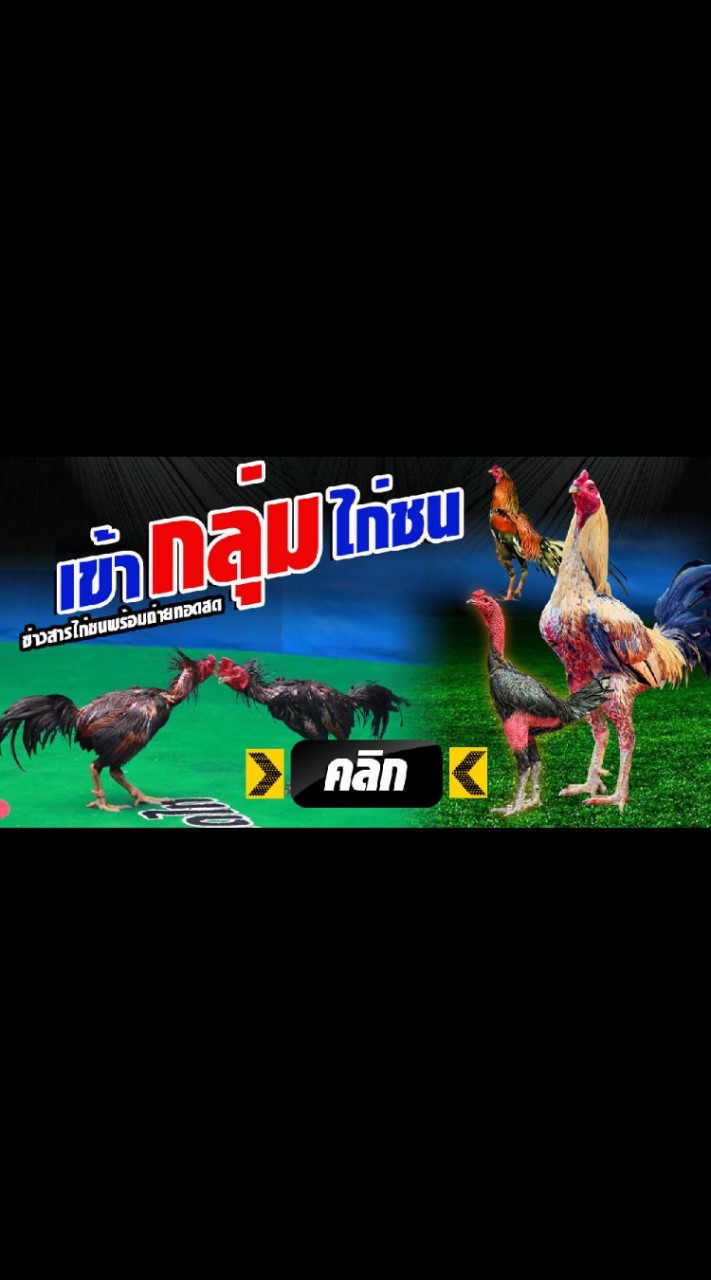 OpenChat 🔥R1ไก่ชน🔥