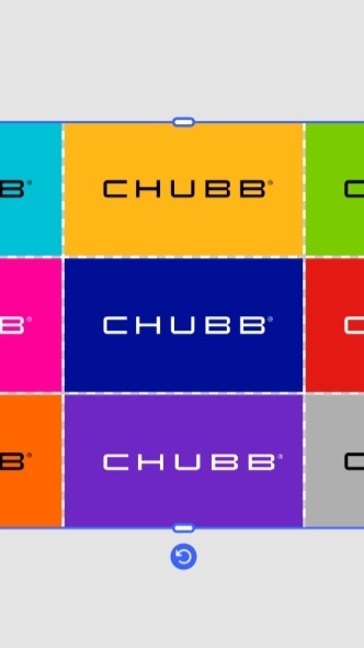 Chubb ทีม ธีร์ทำดีแคร์