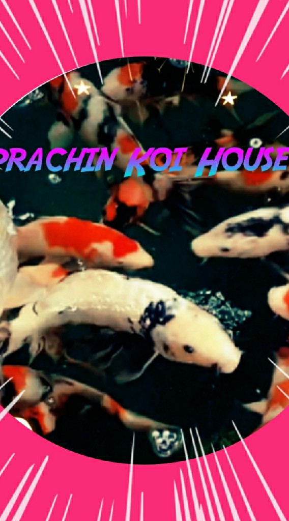 Prachin Koi House