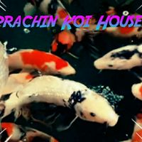 Prachin Koi House