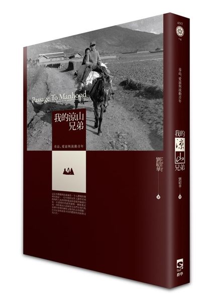 (二手書)我的涼山兄弟：毒品、愛滋與流動青年