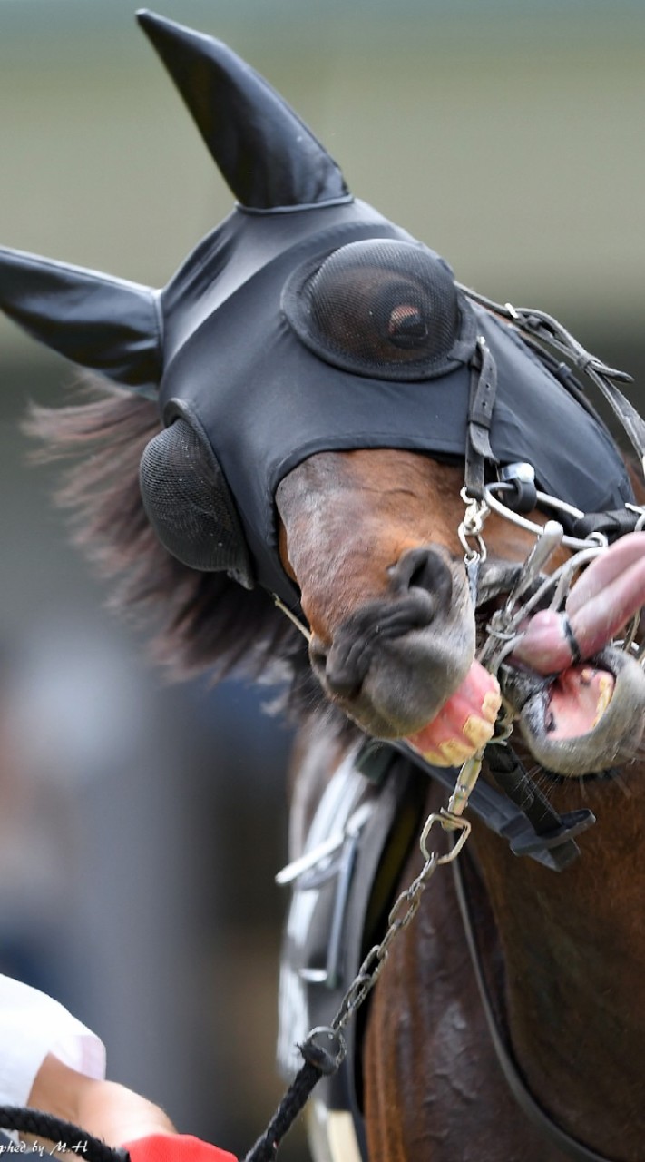 競馬指数研究所のオープンチャット