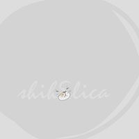 shihSlica特價&特別代購團團轉