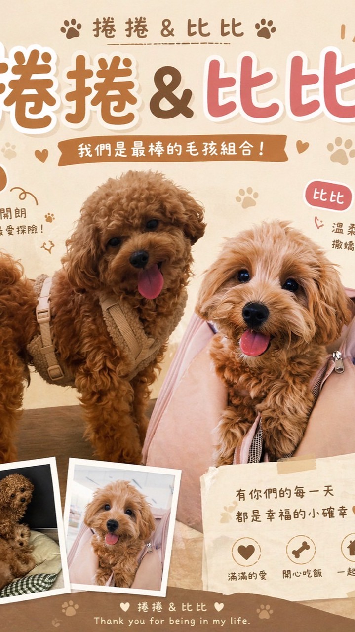 Rolls平價寵物用品社群🐶