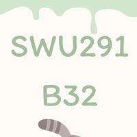 SWU291 - B32