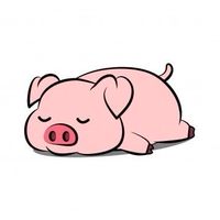 พื้นที่ของกู
