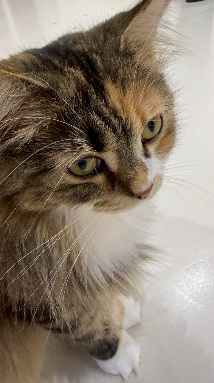 花心⑨④⑤的糖果or自制玩偶批發工廠👁️👅👁️