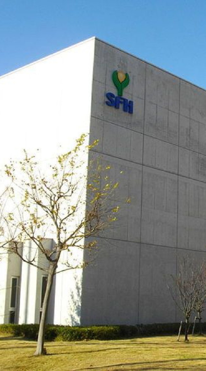 YSF