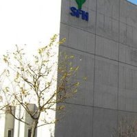 YSF